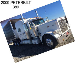 2009 PETERBILT 389