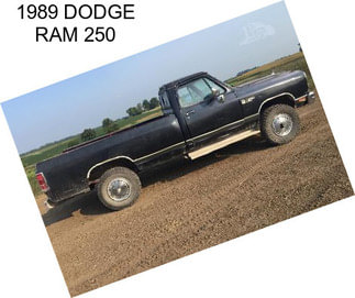 1989 DODGE RAM 250
