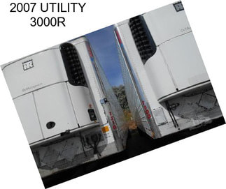 2007 UTILITY 3000R