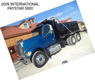 2009 INTERNATIONAL PAYSTAR 5900