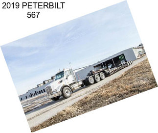 2019 PETERBILT 567