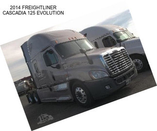 2014 FREIGHTLINER CASCADIA 125 EVOLUTION