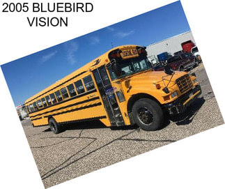 2005 BLUEBIRD VISION