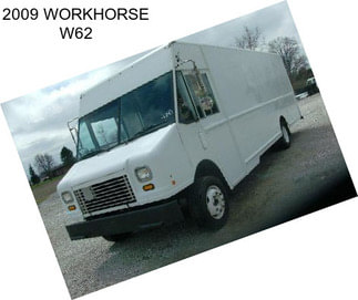 2009 WORKHORSE W62