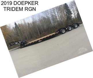 2019 DOEPKER TRIDEM RGN