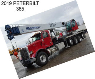 2019 PETERBILT 365