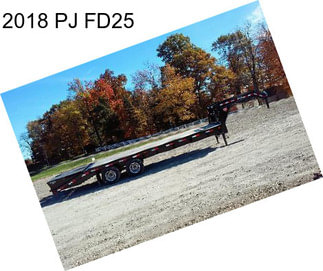 2018 PJ FD25