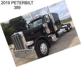 2019 PETERBILT 389