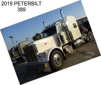 2019 PETERBILT 389