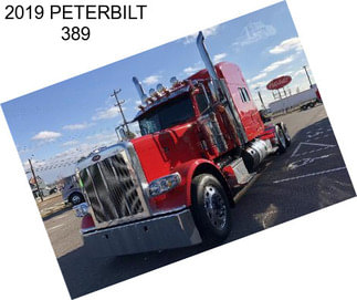 2019 PETERBILT 389