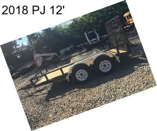 2018 PJ 12\'