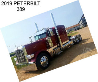 2019 PETERBILT 389