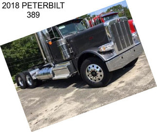 2018 PETERBILT 389