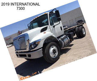 2019 INTERNATIONAL 7300