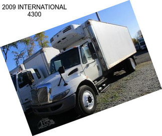 2009 INTERNATIONAL 4300