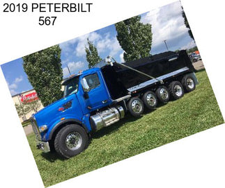 2019 PETERBILT 567