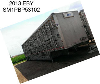 2013 EBY SM1PBP53102