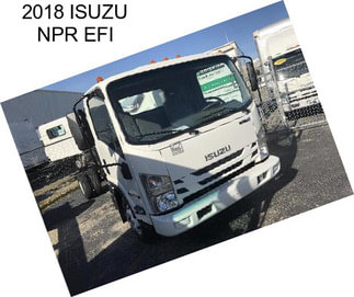 2018 ISUZU NPR EFI