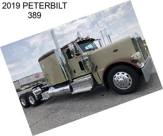 2019 PETERBILT 389