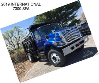 2019 INTERNATIONAL 7300 SFA