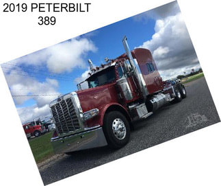 2019 PETERBILT 389