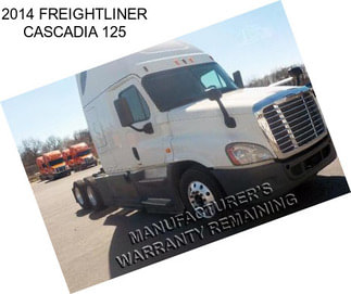 2014 FREIGHTLINER CASCADIA 125