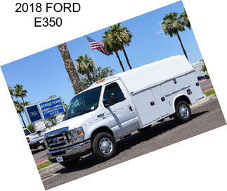 2018 FORD E350