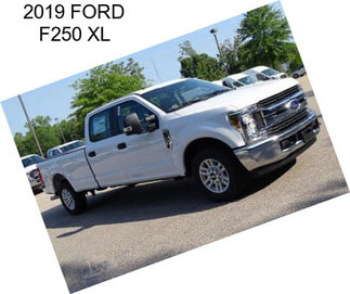 2019 FORD F250 XL