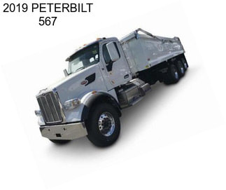 2019 PETERBILT 567