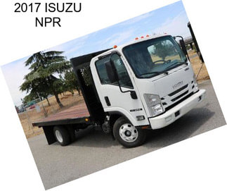 2017 ISUZU NPR