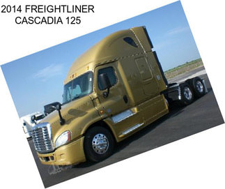 2014 FREIGHTLINER CASCADIA 125