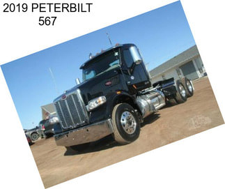 2019 PETERBILT 567