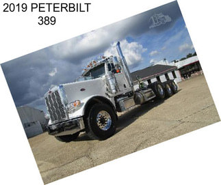 2019 PETERBILT 389