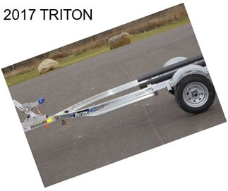2017 TRITON