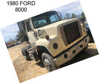 1980 FORD 8000