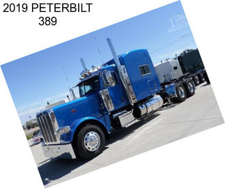 2019 PETERBILT 389