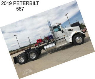 2019 PETERBILT 567