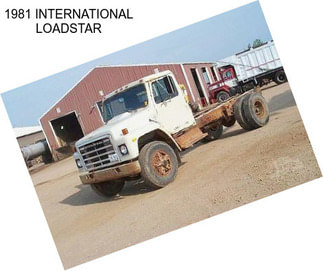 1981 INTERNATIONAL LOADSTAR