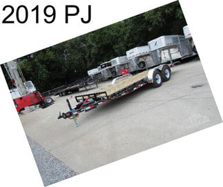 2019 PJ