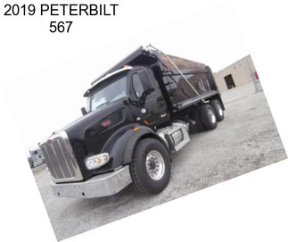 2019 PETERBILT 567