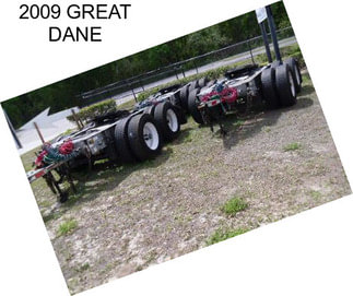 2009 GREAT DANE