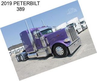 2019 PETERBILT 389