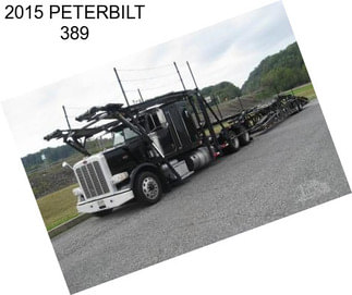 2015 PETERBILT 389