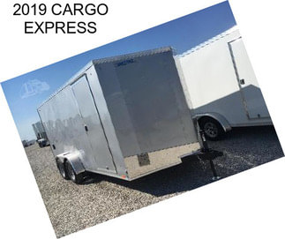 2019 CARGO EXPRESS