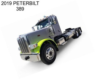 2019 PETERBILT 389