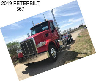 2019 PETERBILT 567