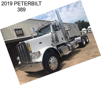 2019 PETERBILT 389