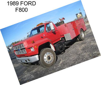 1989 FORD F800