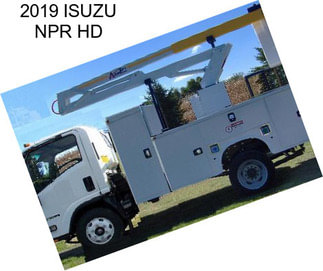 2019 ISUZU NPR HD