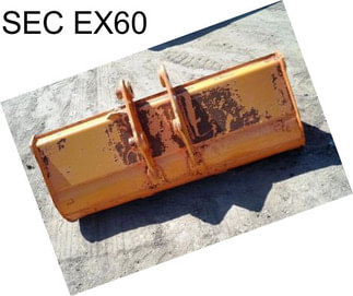 SEC EX60